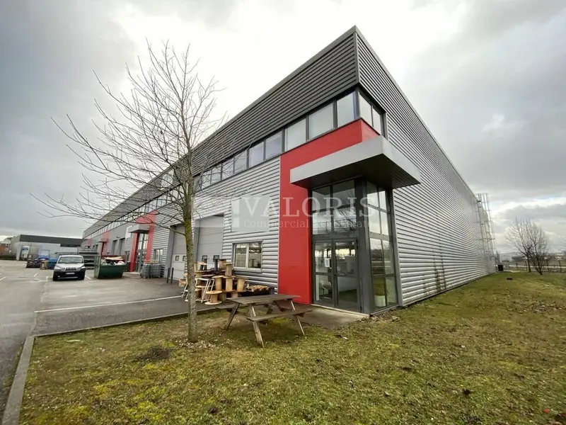 A louer Locaux d'activité 585m² Dagneux
