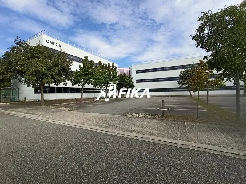 A LOUER Immeuble de BUREAUX 4.125 m² - (31770) COLOMIERS 