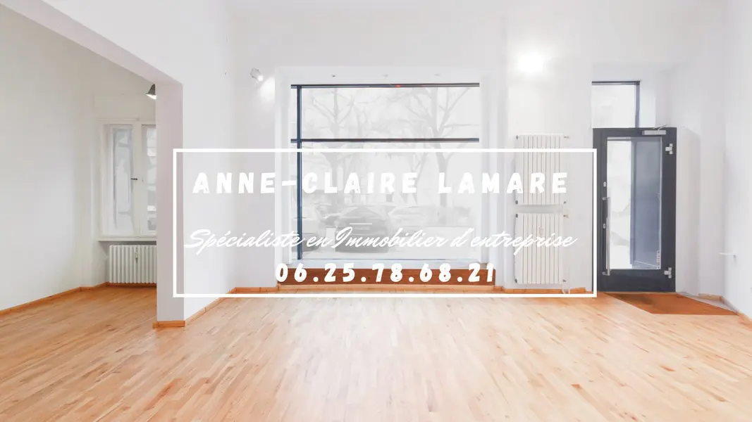 locaux commerciaux locaux commerciaux