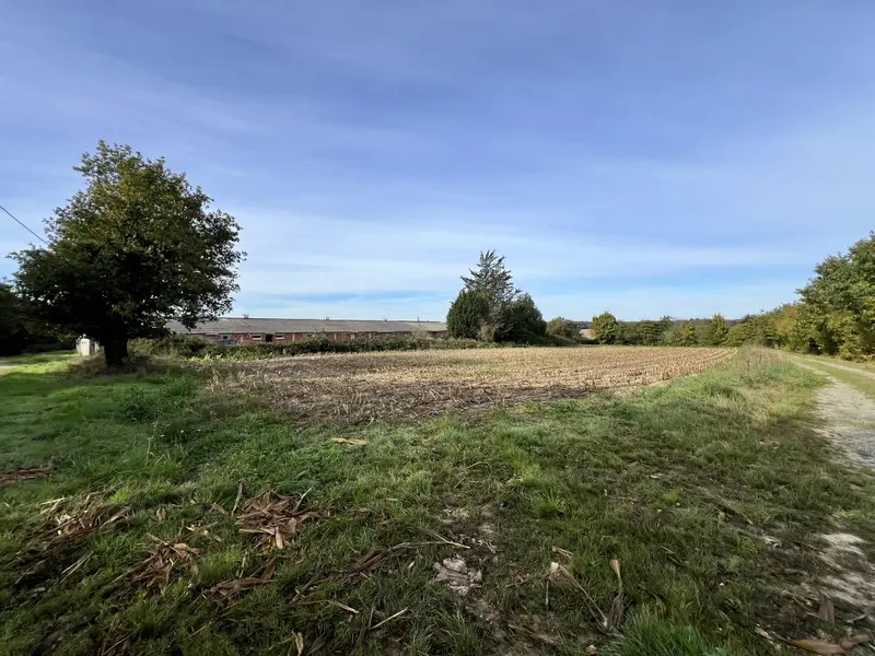 Terrain Agricole Terrain Agricole