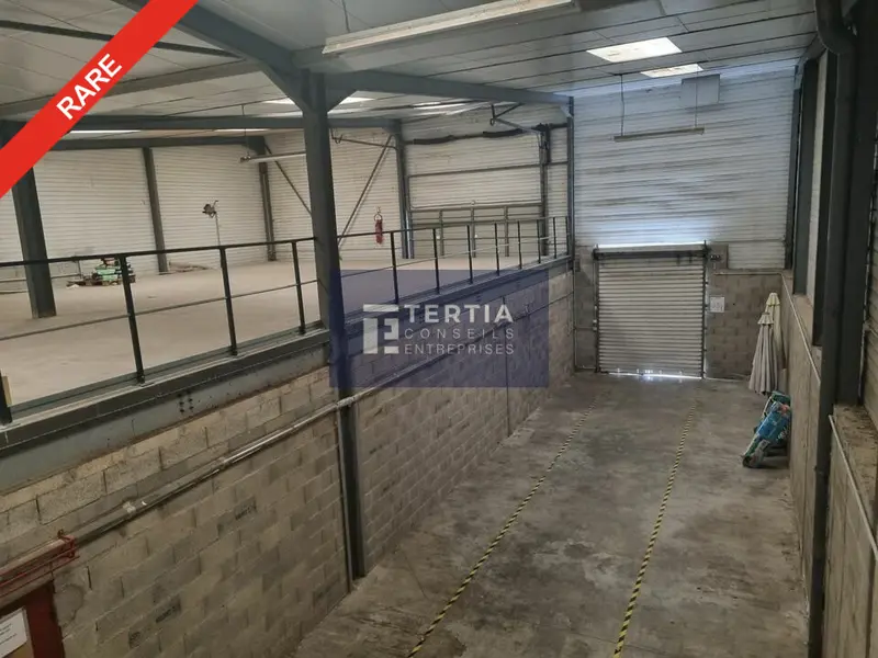 MONTPELLIER NORD - LOCAUX D'ACTIVITES VISIBLES DEPUIS AXE PASSANT MONTPELLIER NORD - LOCAUX D'ACTIVITES VISIBLES DEPUIS AXE PASSANT