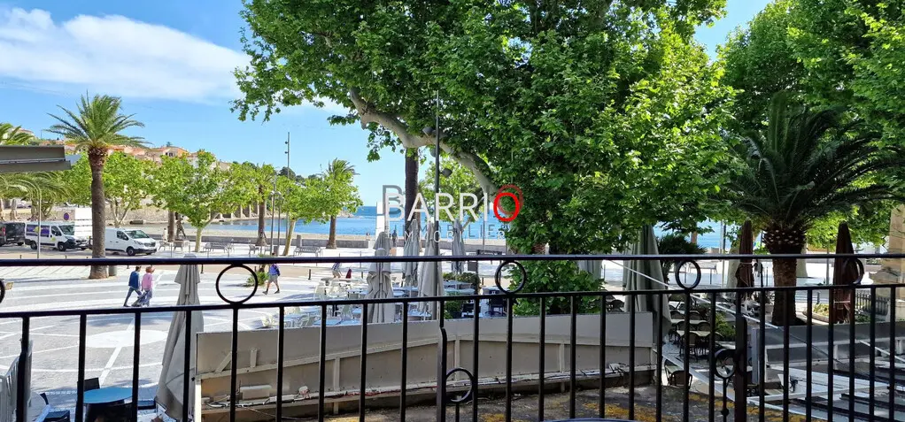 Appartement Banyuls-sur-Mer, terrasse vue mer Appartement Banyuls-sur-Mer, terrasse vue mer