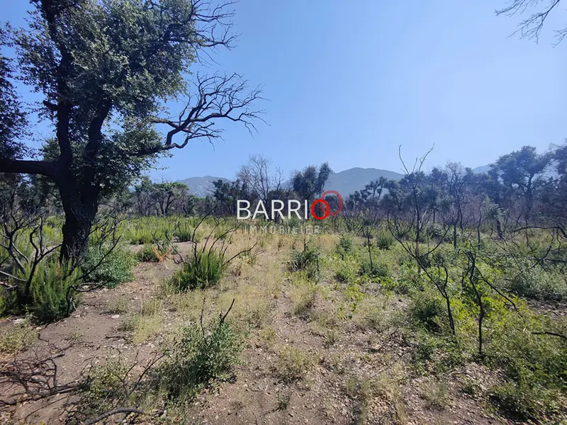 Terrain de loisirs à Saint André Terrain de loisirs à Saint André