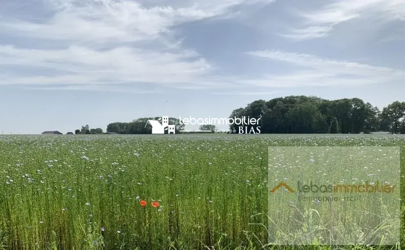 TERRAIN A BATIR YVETOT - 519 m2 TERRAIN A BATIR YVETOT - 519 m2