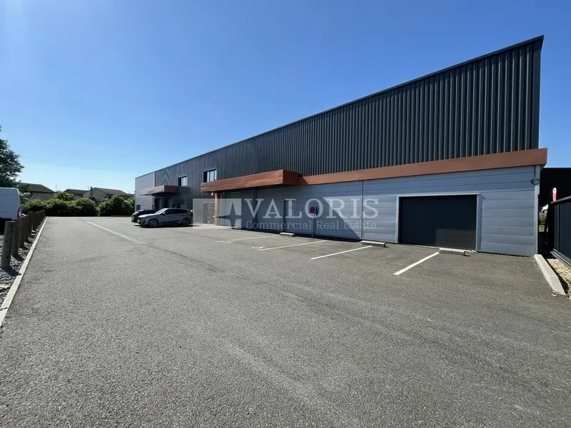 A louer Locaux d'activité 602m² Arnas