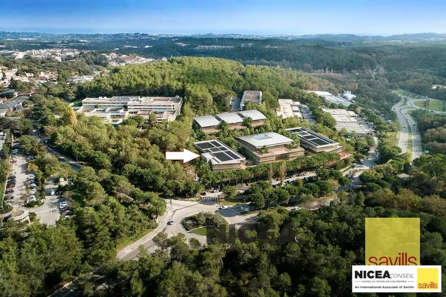 A louer Bureaux 3000m² Valbonne