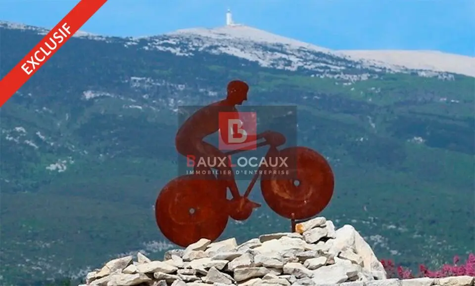 À vendre  Fonds de commerce de cycles au pied du Mont Ventoux