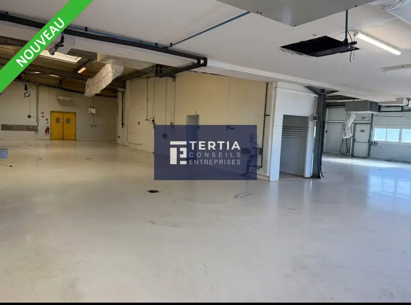 FRONTIGNAN - BATIMENT MIXTE A VENDRE IDEAL POUR PRODUCTION 