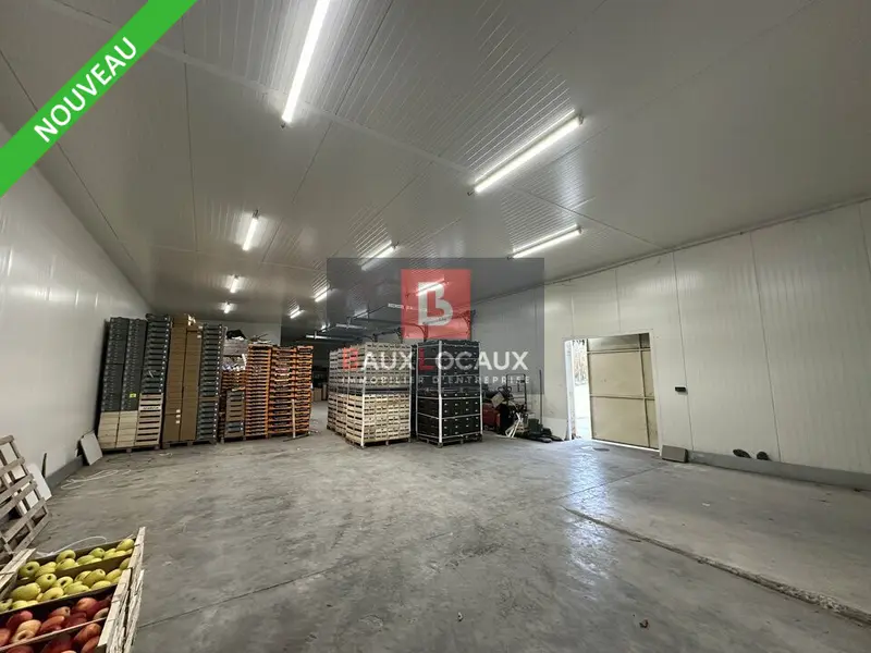 Entrepôt / Activité à vendre - Noves (13550) - 800 m²