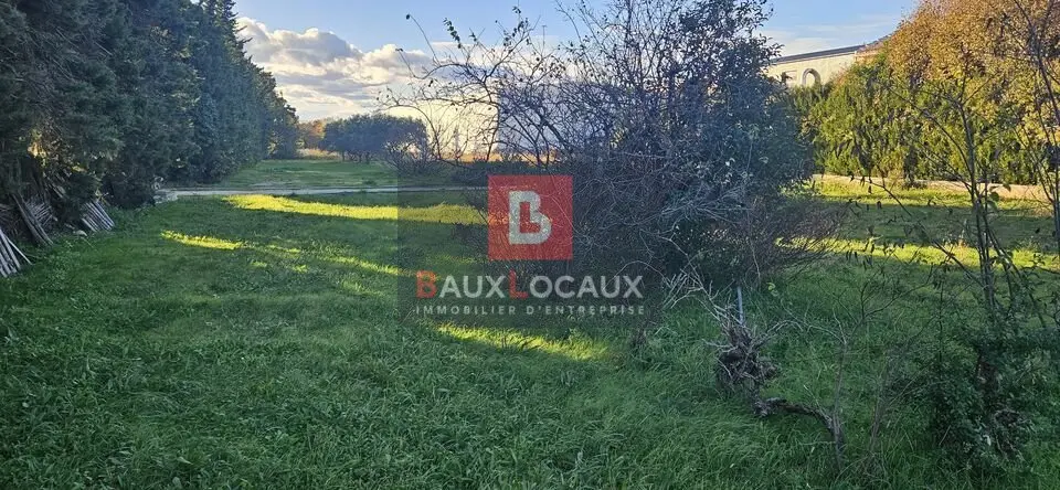 terrain à louer - carpentras (84200) - 7550 m2 - 15 100 €/mois