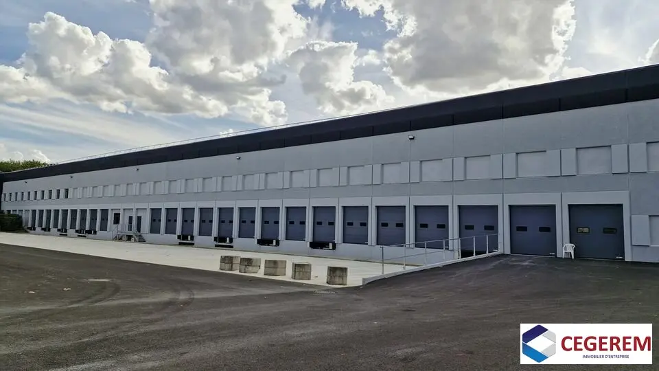 Entrepôt / Activité à louer - Lisses (91090) - 8018 m² - 66 816 €/mois