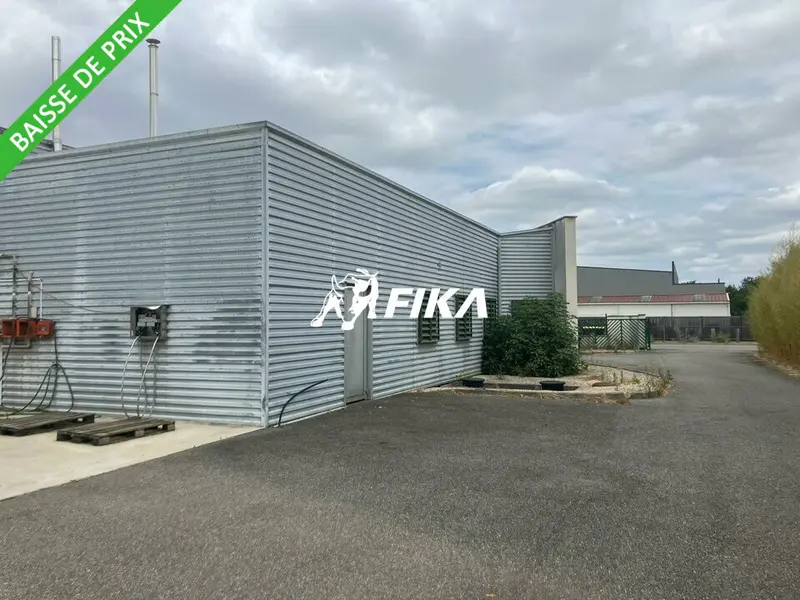 Entrepôt / Activité à vendre - Fontenilles (31470) - 800 m²