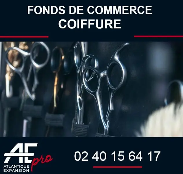 Fonds de commerce à vendre - Bouée (44260) - 90 000 €