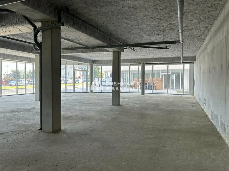 Local Commercial à louer - Le Bouscat (33110) - 326 m² - 5 705 €/mois