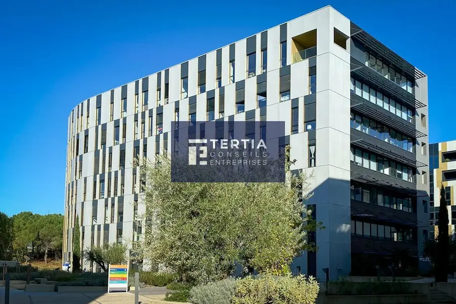 Bureau à louer - Montpellier (34000) - 495 m² - 7 425 €/mois