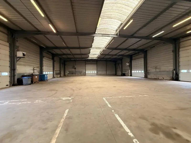 A louer Locaux d'activité 1755m² Tillé