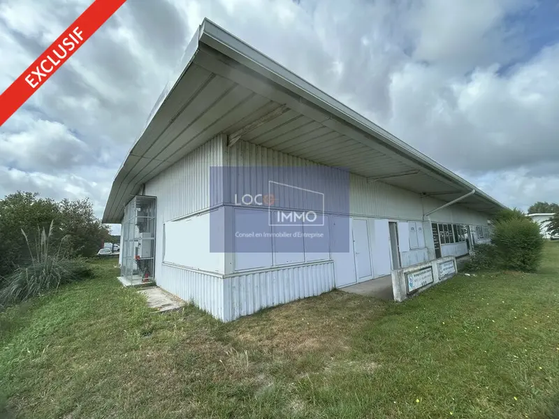 Entrepôt / Activité à louer - Le Haillan (33185) - 250 m² - 1 666 €/mois