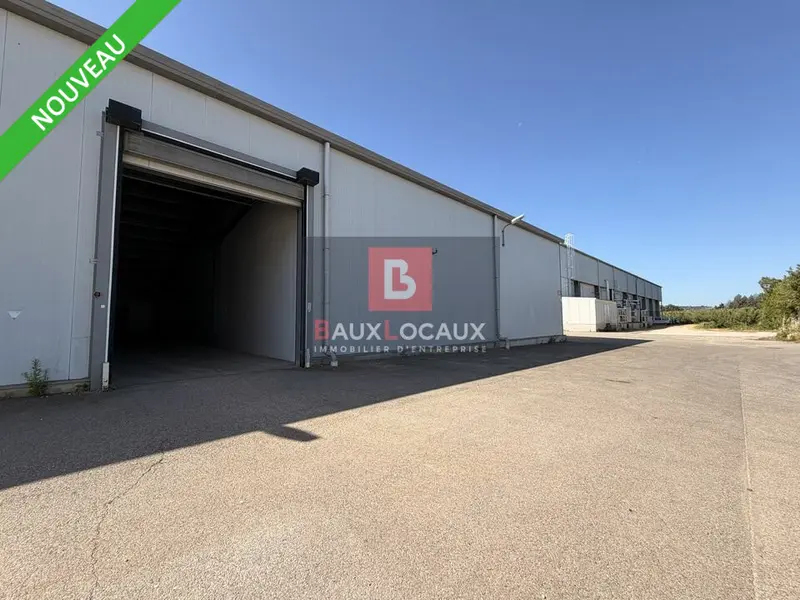 Entrepôt / Activité à louer - Cavaillon (84300) - 1680 m² - 7 560 €/mois
