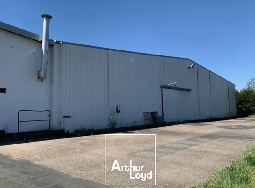 Entrepôt / Activité à vendre - Allassac (19240) - 3587 m²