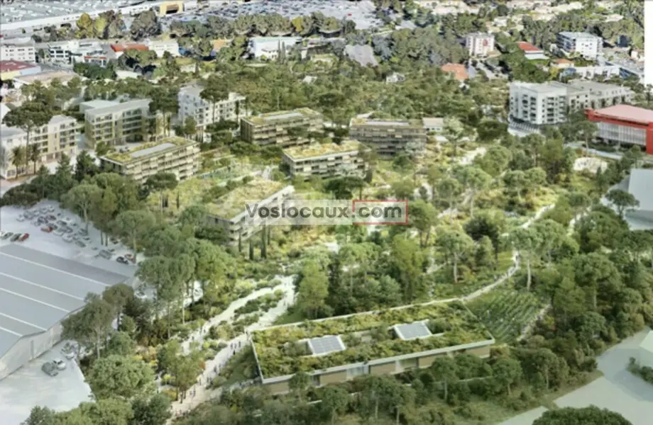 Bureaux à louer de 257 m² en rez-de-chaussée  Antibes