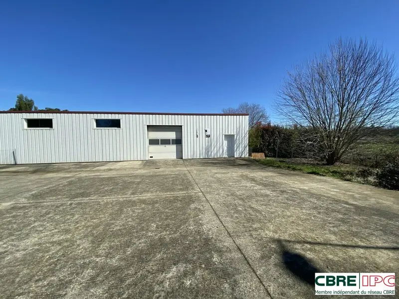 Entrepôt / Activité à louer - Angoumé (40990) - 204 m² - 1 105 €/mois