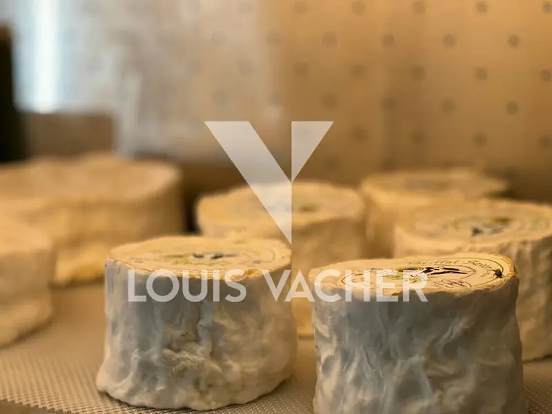 Fonds de commerce à vendre - Bordeaux (33000) - 100 000 €
