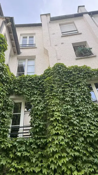 Fonds de commerce à vendre - Restauration - Paris 05 (75005) - 196 000 €