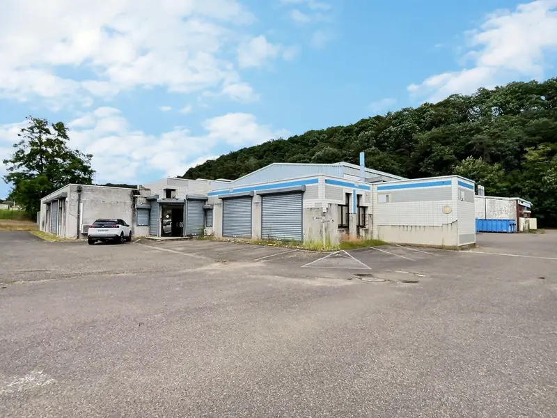 Entrepôt / Activité à louer - Saint-Avold (57500) - 4500 m² - 11 420 €/mois