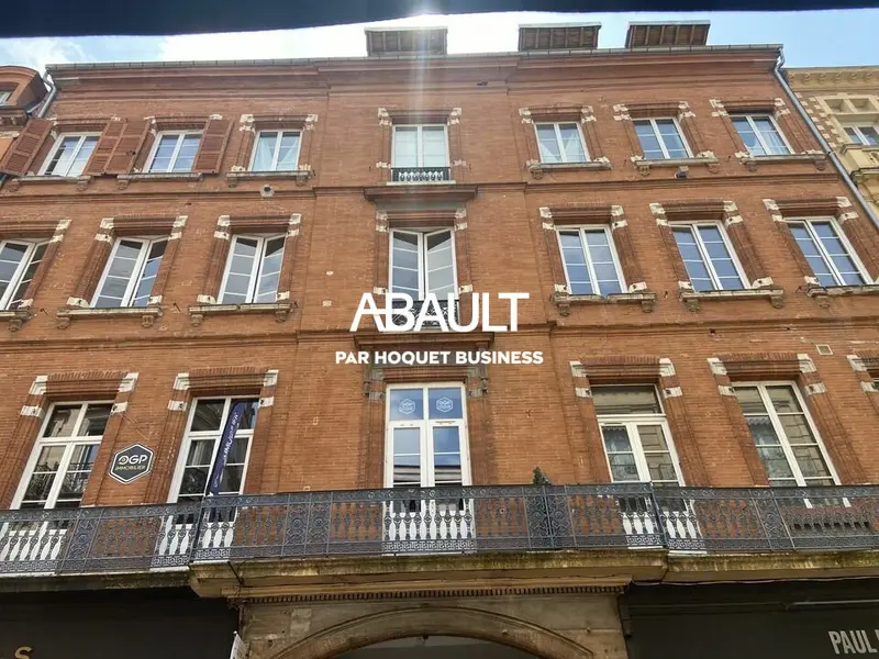 A LOUER BEAUX BUREAUX CLIMATISES LUMINEUX RUE LAFAYETTE TOULOUSE